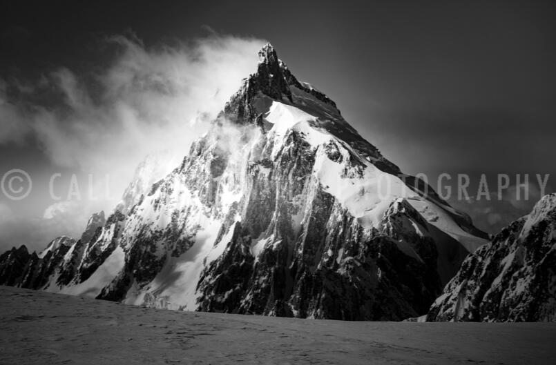 Photography from Call of the Wild Photography